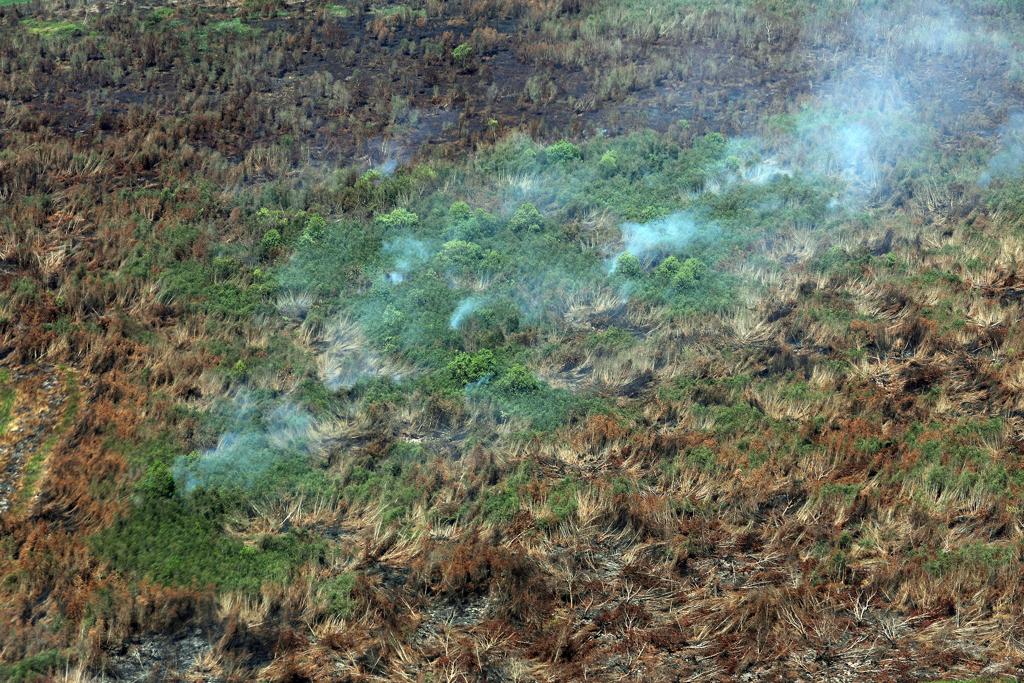 Tinjauan udara penanganan kebakaran hutan dan lahan di Kalimantan Selatan.